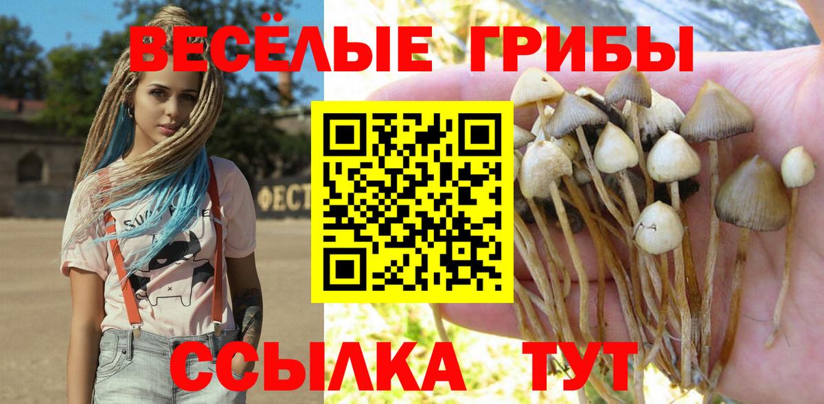 Кохма  Псилоцибиновые грибы ЛСД  Вход с VPN 