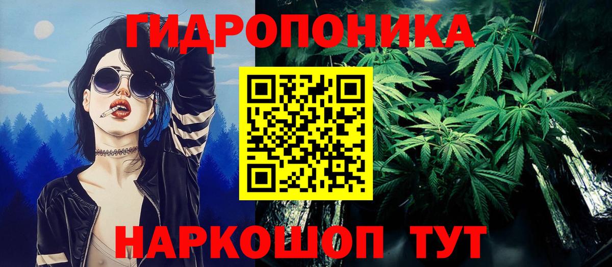 Бошки марихуана VHQ  Каннабис индика  Бошки Шишки OG Kush  Вход с VPN  Кохма 